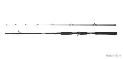Canne Casting Abu Garcia Beast Pike 1,89M 40-90G Jerkbait