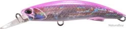 Leurre Duo Rough Trail Blazin 92 SOLID PINK BACK