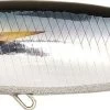 Leurre Fish Tornado Real Bonito 240 REAL TUNA