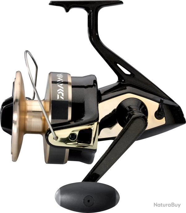 Daiwa MOULINET GOLD SILVER 100 B 3 Daiwa MOULINET GOLD SILVER 100 B