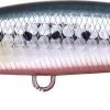 DUO ROUGH TRAIL BLAZIN 85 S - ABA0030 SARDINE RB -Boutique De Pêche 00001 ROUGH TRAIL BLAZIN 85 S ABA0030 SARDINE RB