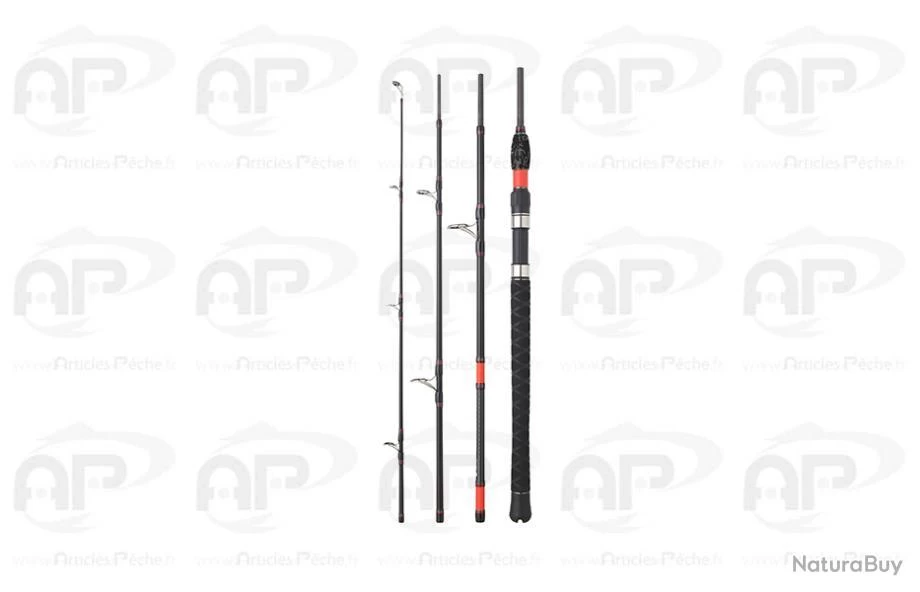 Daiwa Megaforce Big Fish 4 100-300gr 2.40M 3 Daiwa Megaforce Big Fish 4 100-300gr 2.40M