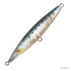 Xorus Asturie 150 Anchois