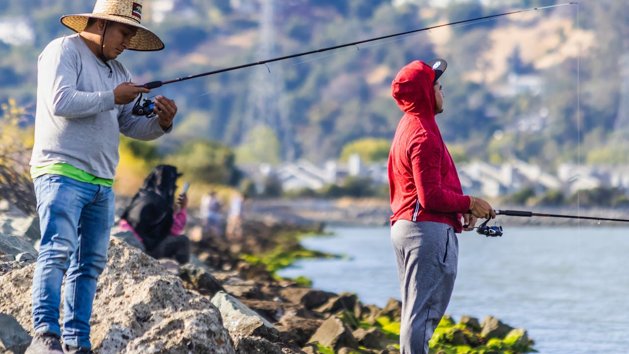 Boutique De Pêche -Boutique De Pêche pexels robert so 18019563